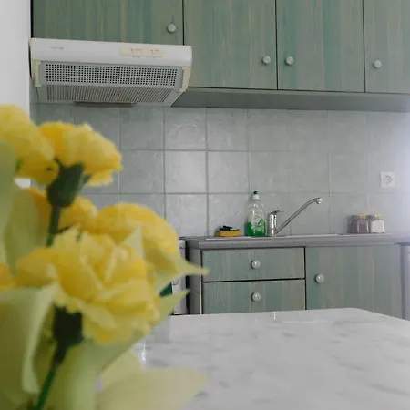 Elisabeth Apartment Agios Ioannis (Tinos)