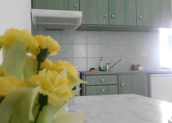 Elisabeth Appartement Agios Ioannis (Tinos)